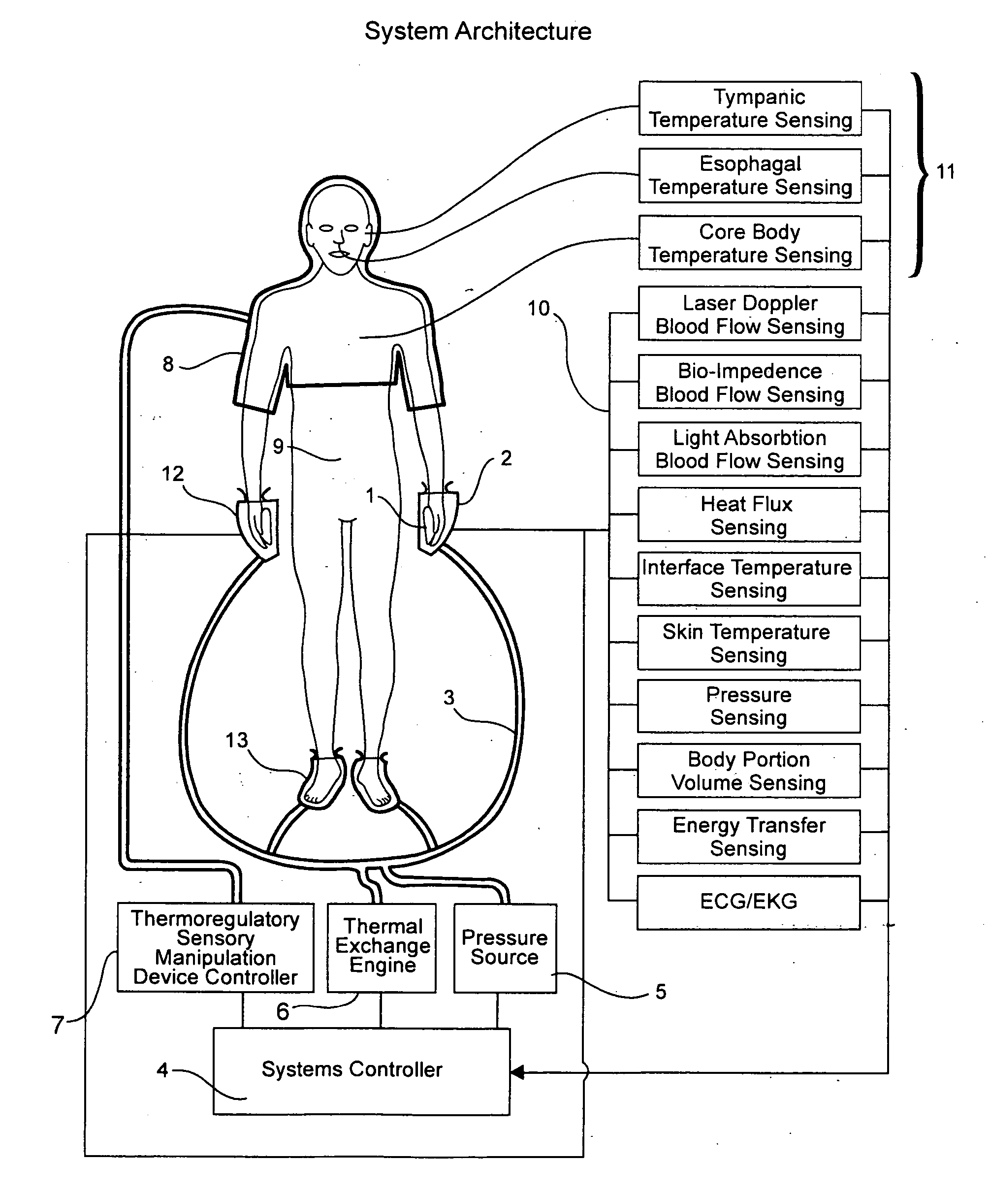 Controlled heat transfer with mammalian bodies