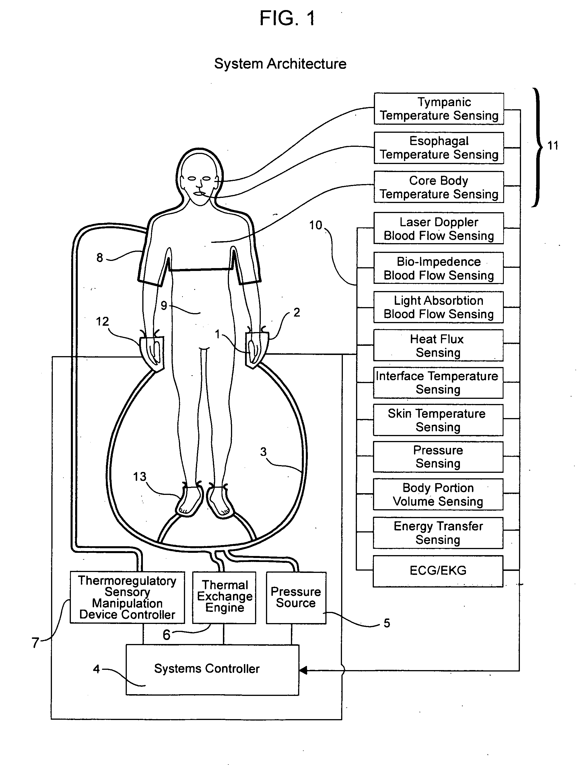 Controlled heat transfer with mammalian bodies