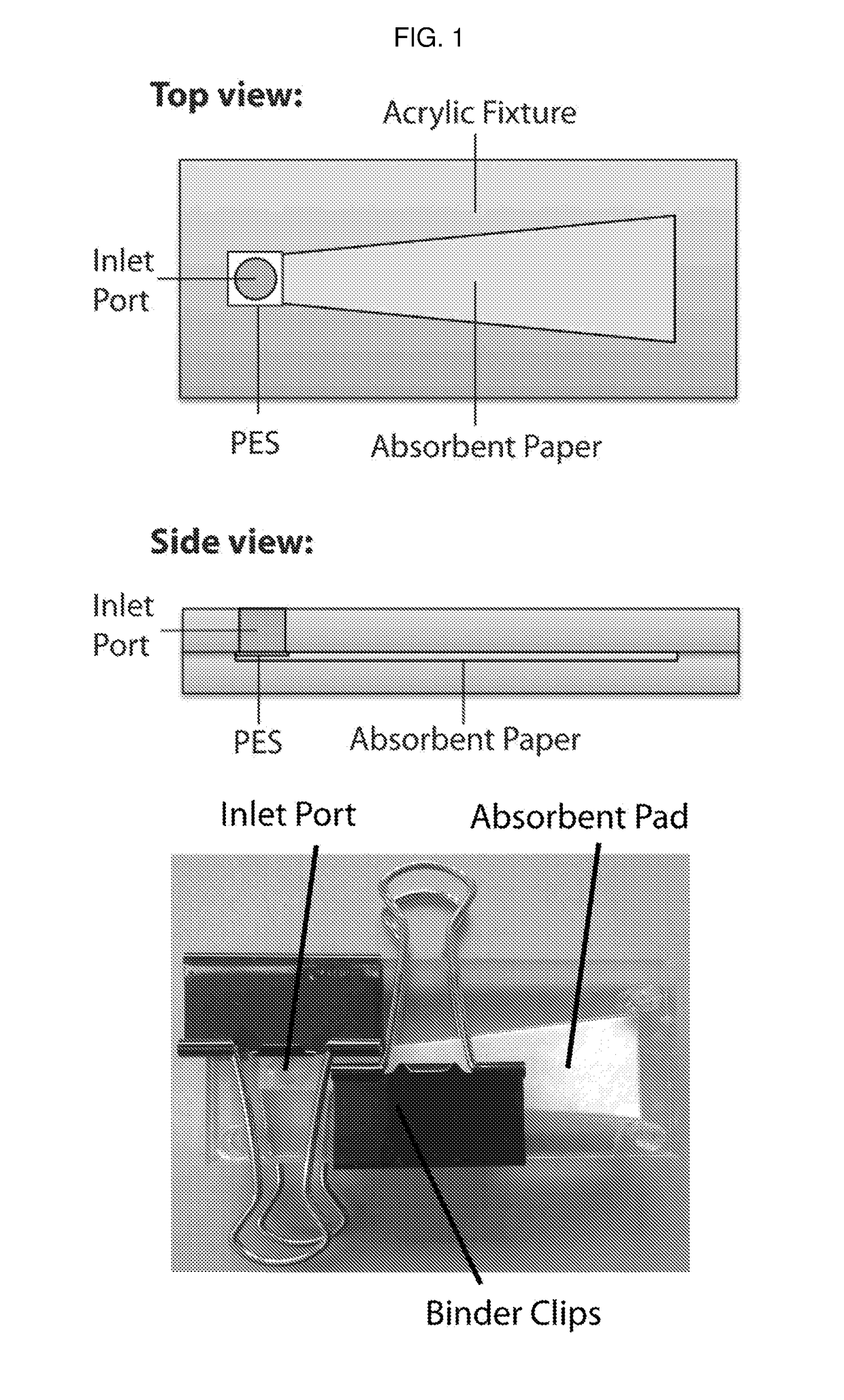 Detection device having capture region and detection region