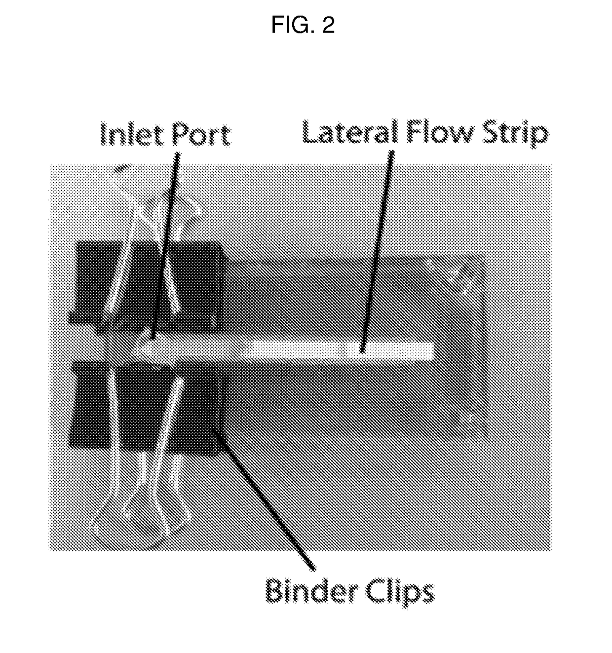 Detection device having capture region and detection region