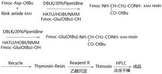 Synthesis process of thymalfasin