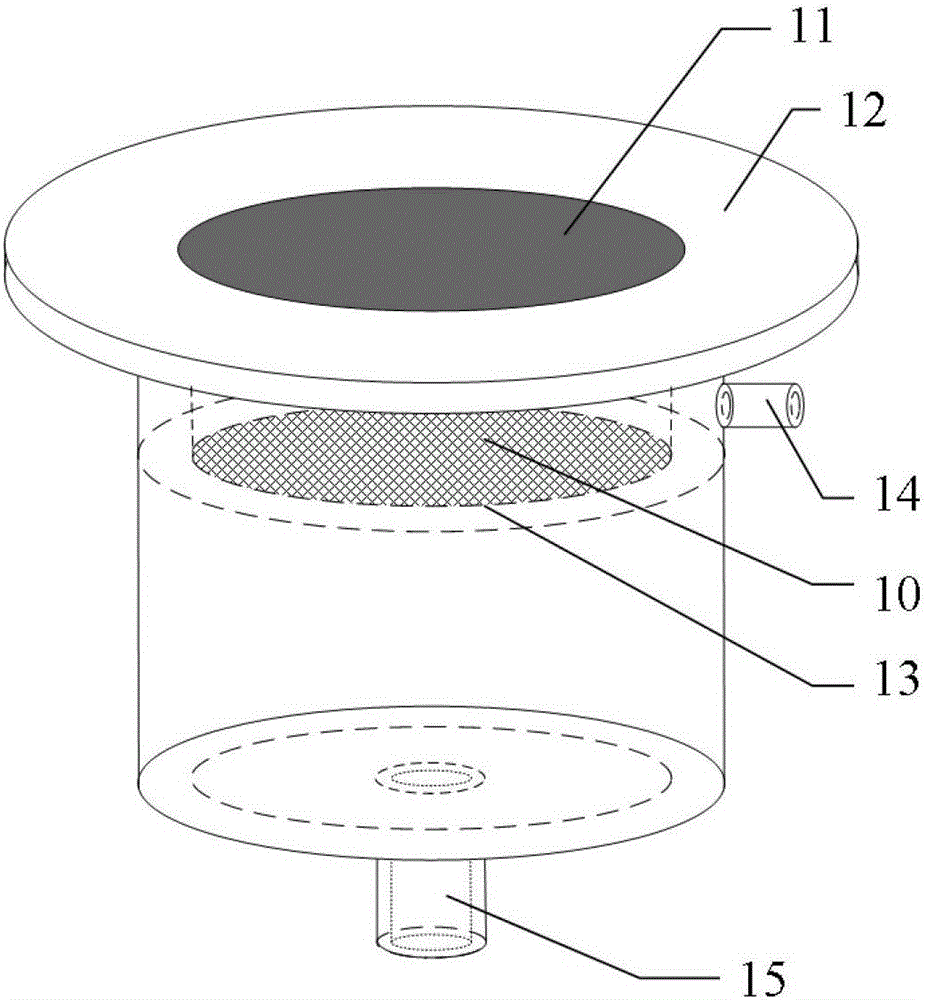Seed processing device and method for improving drought resistance of wheat buds