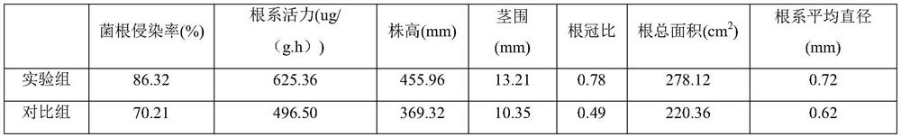 Black spore truffle inoculation agent and its treatment method and mycorrhizal cultivation method