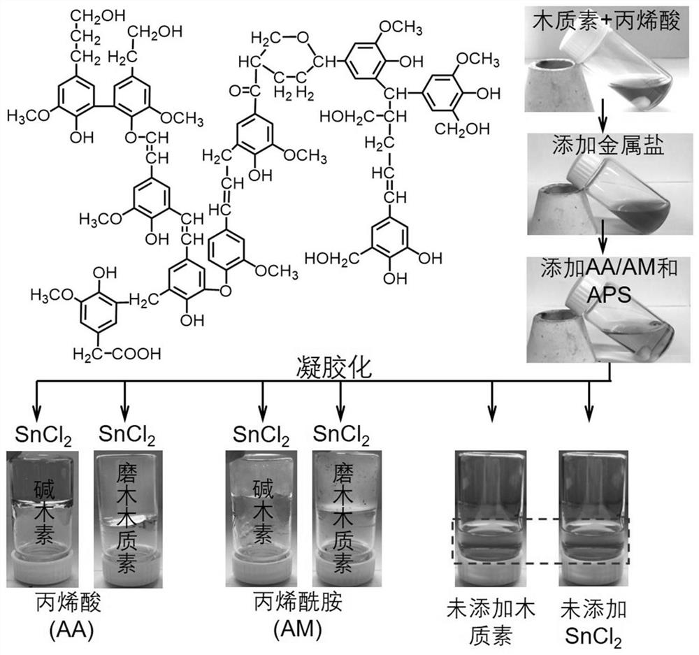 Preparation method of lignin chelated stannous hydrogel