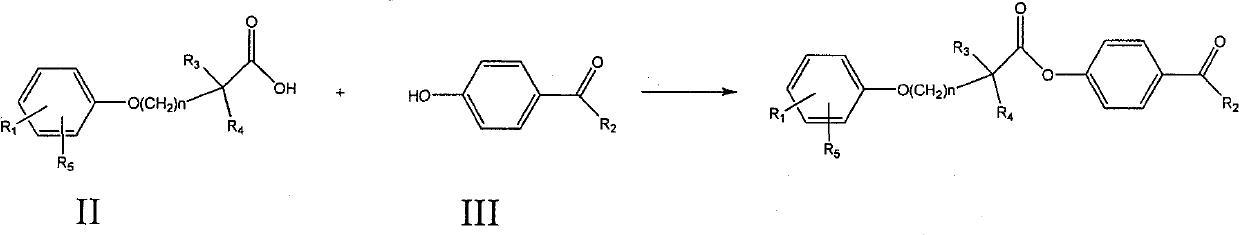 Ester compound, preparation method and application thereof