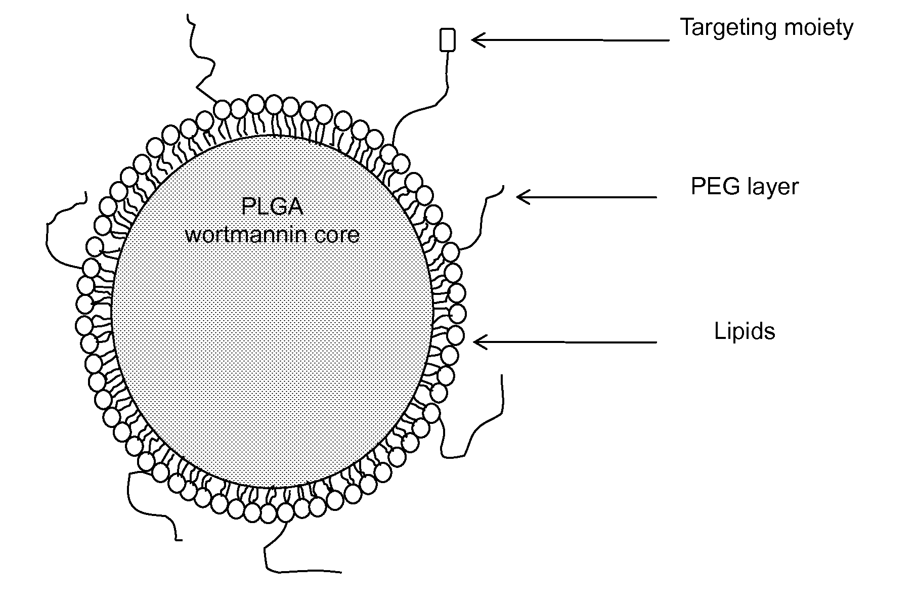 DNA repair enzyme inhibitor nanoparticles and uses thereof