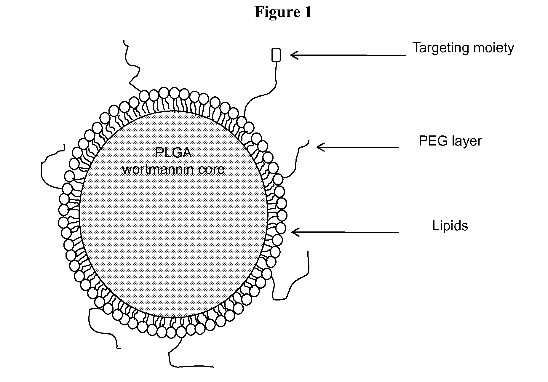 DNA repair enzyme inhibitor nanoparticles and uses thereof