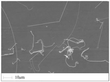 Lead-free component interconnection welding spot tin whisker touch risk assessment method