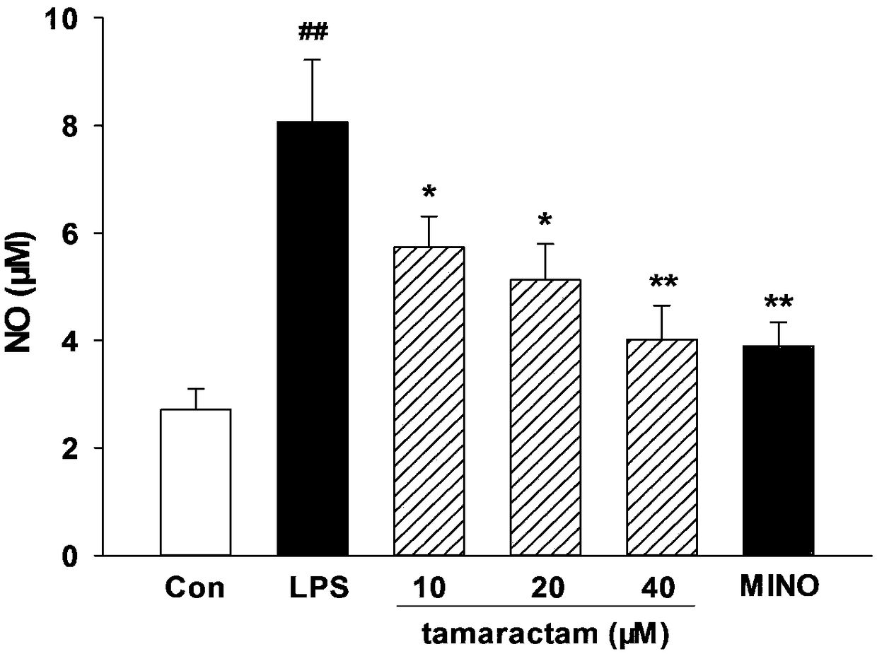 Application of scopolin to preparation of medicine for inhibiting neuroinflammation