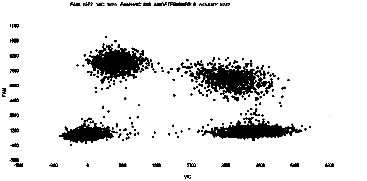 FFPE reference substance as well as preparation method and application thereof