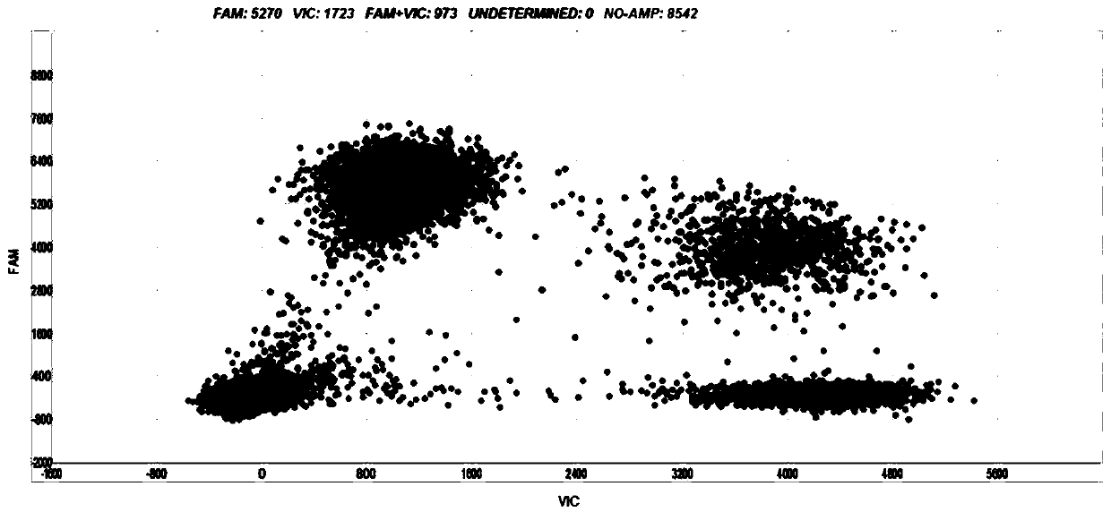 FFPE reference substance as well as preparation method and application thereof