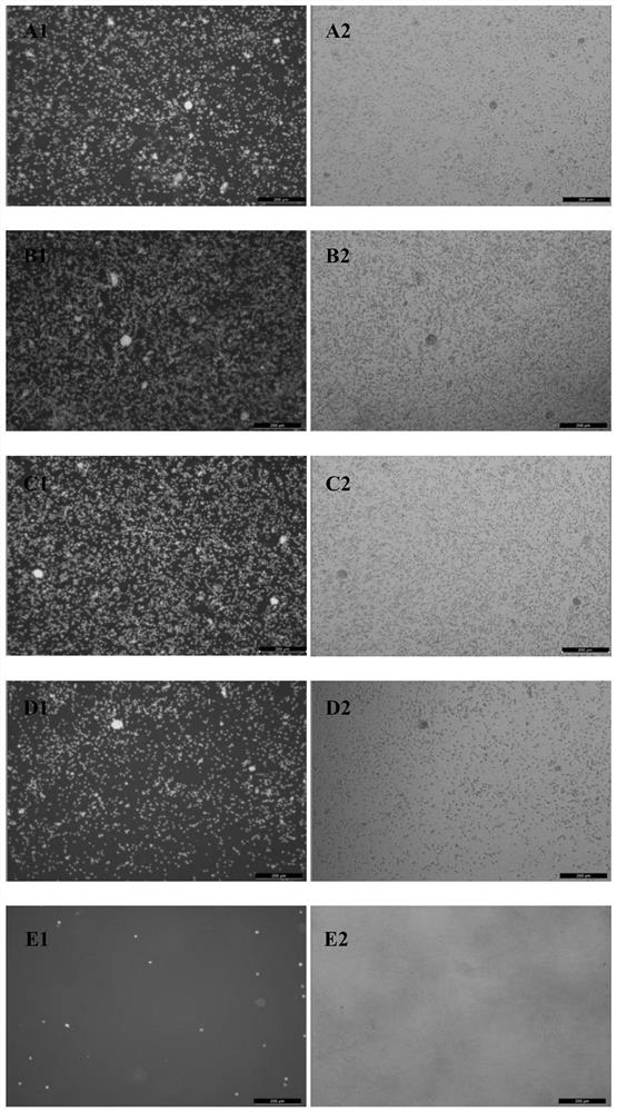 Cryopreservation resuscitation fluid for ovarian tissue