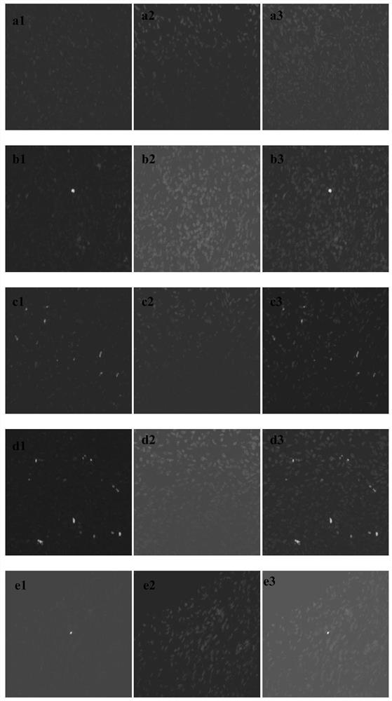 Cryopreservation resuscitation fluid for ovarian tissue