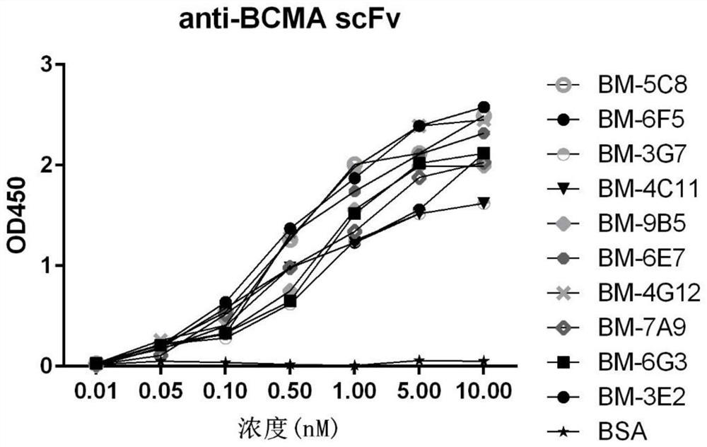 A bispecific chimeric antigen receptor molecule and its application in tumor therapy