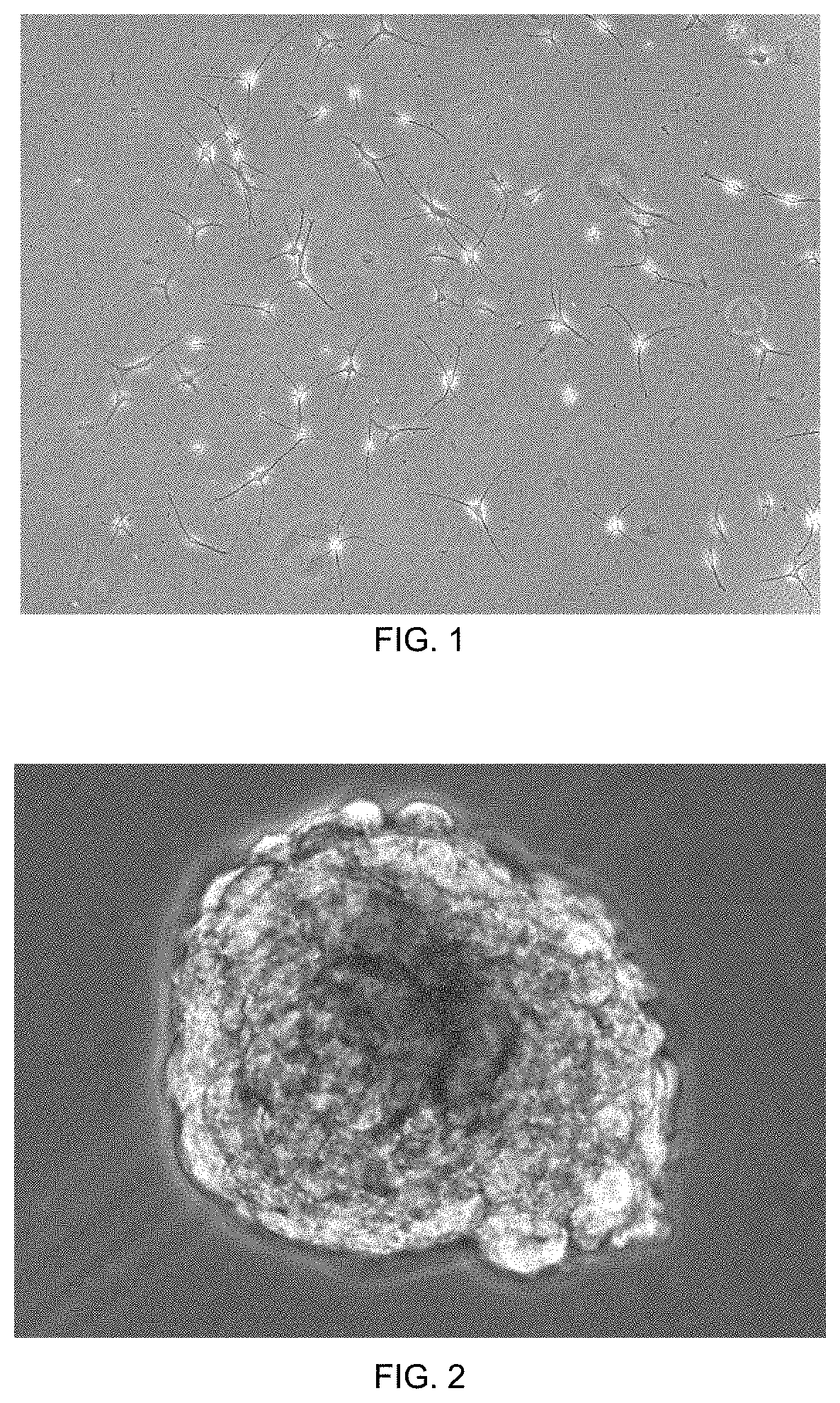 Methods of Serum-Free Culturing Corneal Limbal Stromal Stem Cells and Inducing Sphere Formation and Differentiation in Vitro