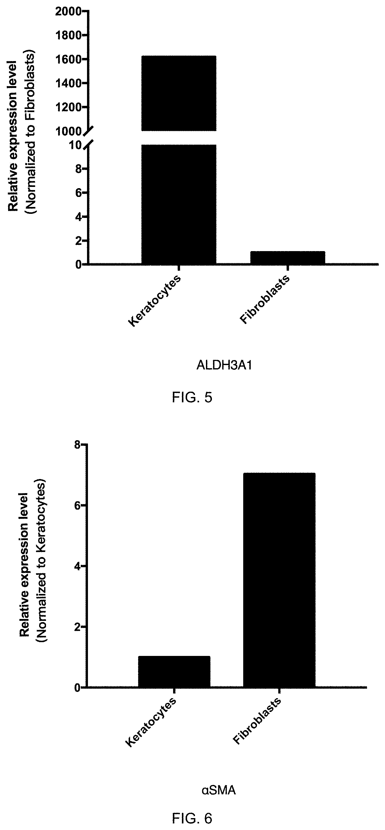 Methods of Serum-Free Culturing Corneal Limbal Stromal Stem Cells and Inducing Sphere Formation and Differentiation in Vitro