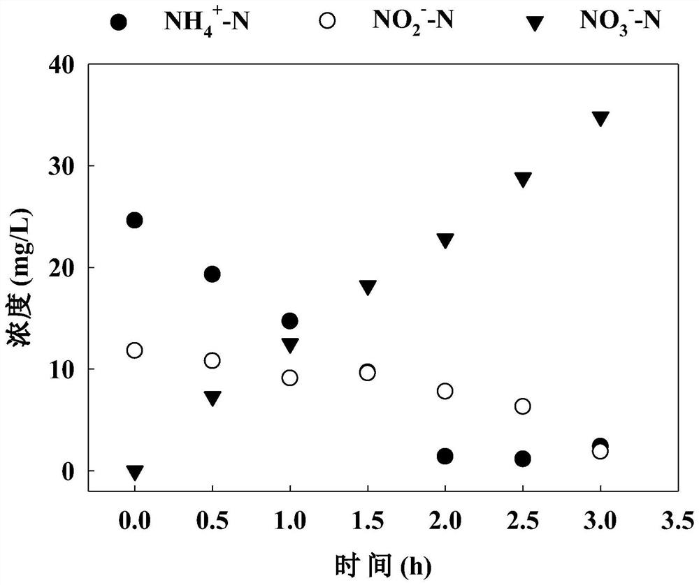 Method for rapidly starting normal-temperature short-cut nitrification of municipal sewage by using acetaminophen