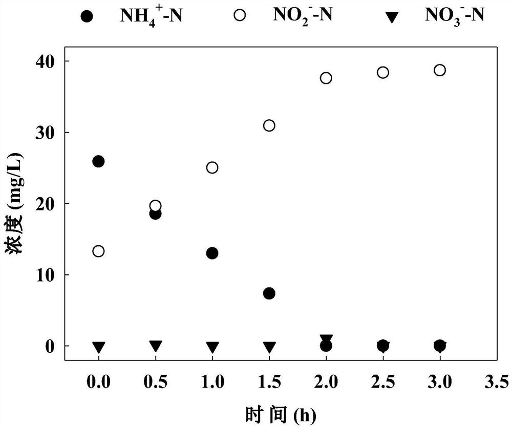 Method for rapidly starting normal-temperature short-cut nitrification of municipal sewage by using acetaminophen