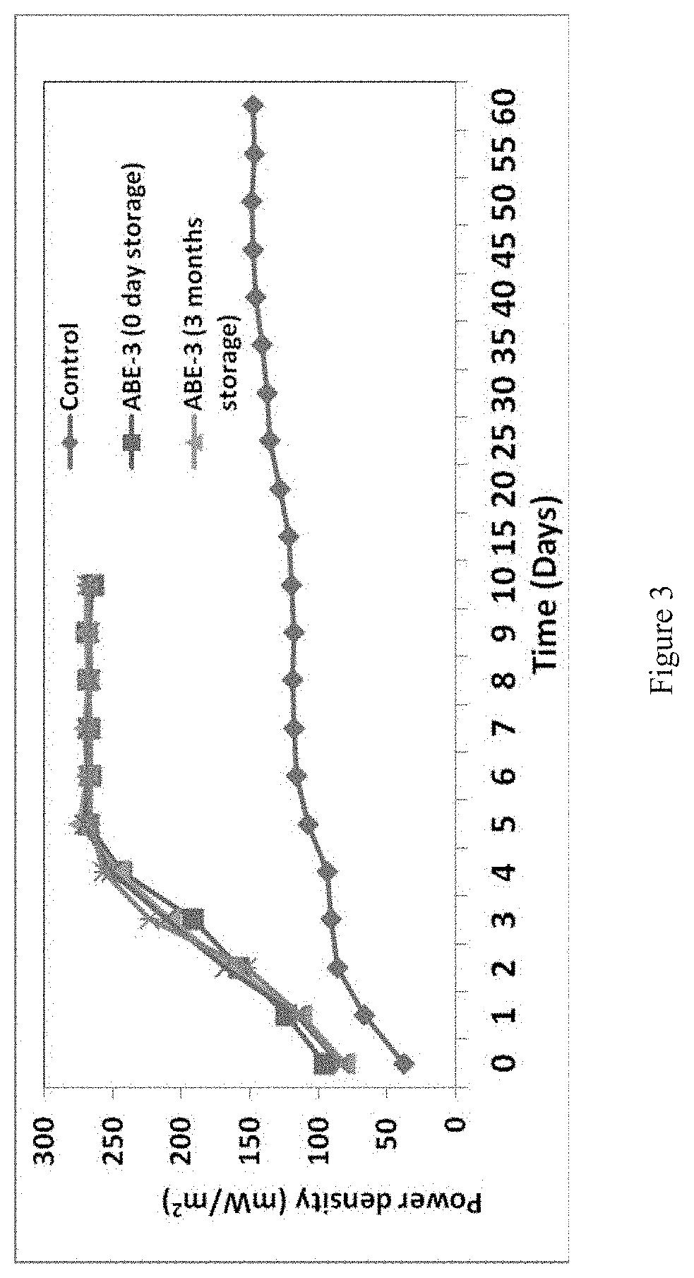 Engineered electrode for electrobiocatalysis and process to construct the same