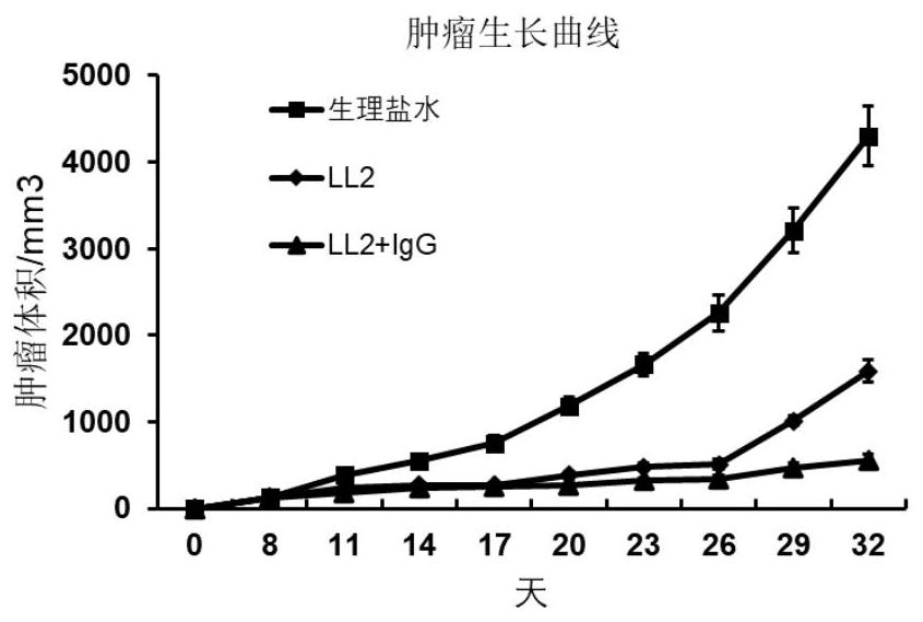 Tumor cell vaccine and preparation method thereof