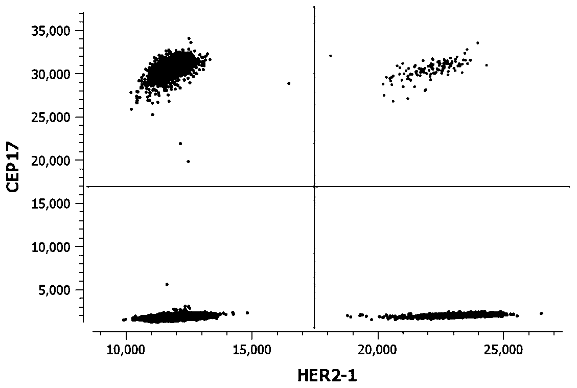 A kit and method for detecting her-2 gene copy number variation based on digital PCR technology