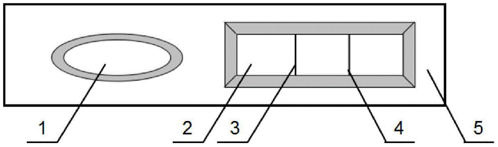 A kind of immunochromatographic test strip, detection method and application