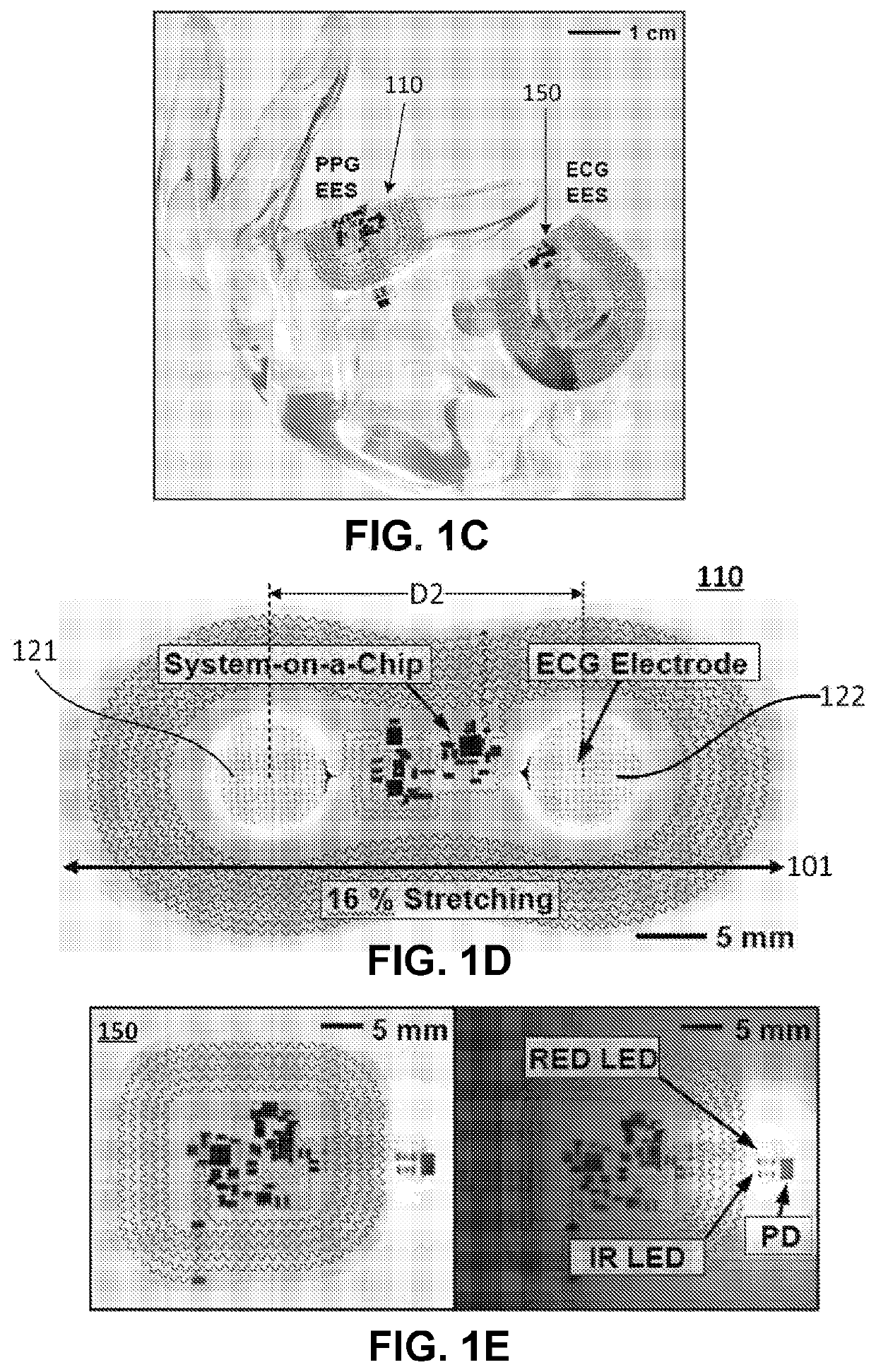 Apparatus and method for measuring physiological parameters of mammal subject and applications of same