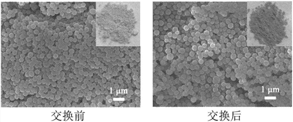 Main chain type imidazole salt ionic polymer for hexavalent chromium anion detection and separation