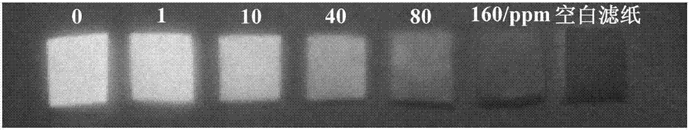 Main chain type imidazole salt ionic polymer for hexavalent chromium anion detection and separation