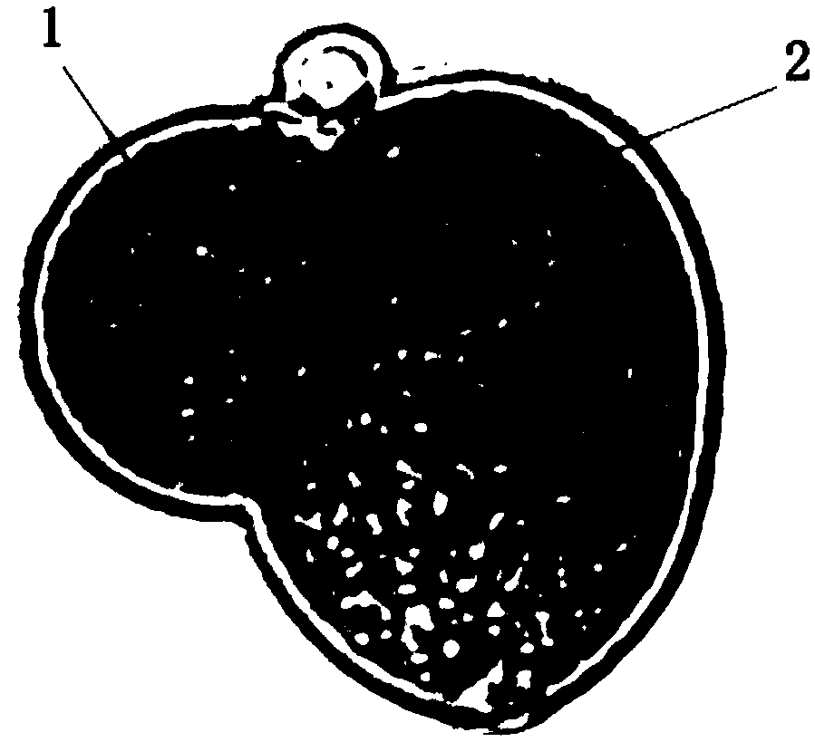 Fish fry starter bait and obtaining method thereof