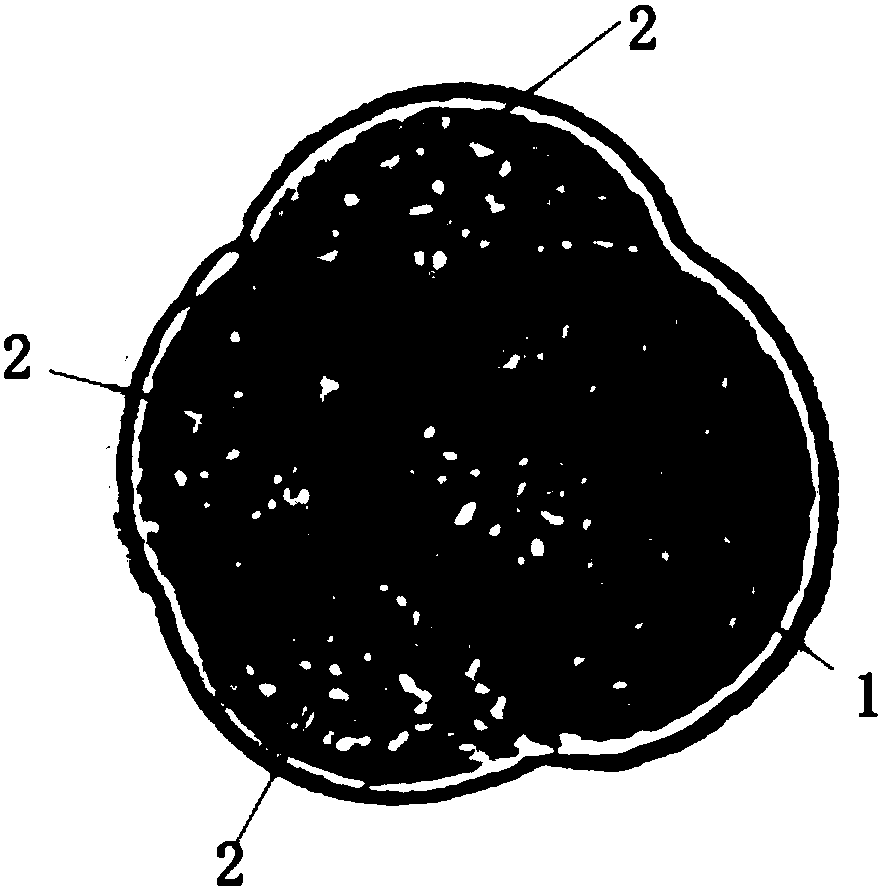 Fish fry starter bait and obtaining method thereof