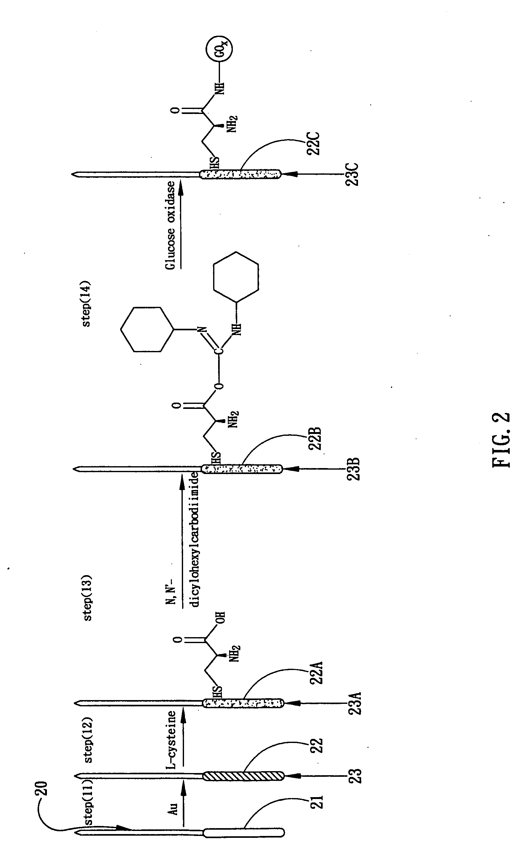 Enzyme electrode and method for producing the same