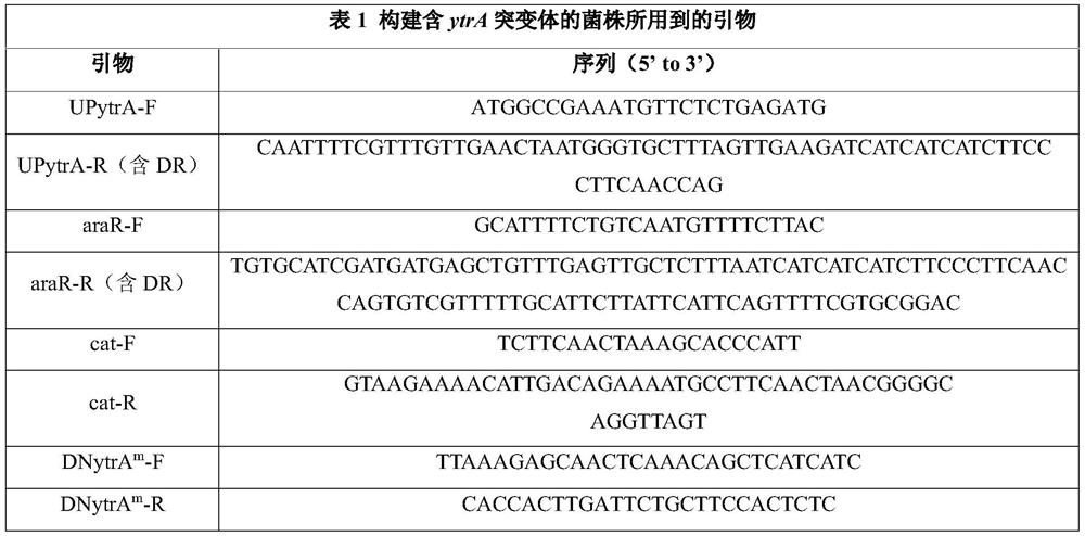 GntR family transcription inhibitor mutant, mutant gene and application of the mutant gene to preparation of vitamin B2