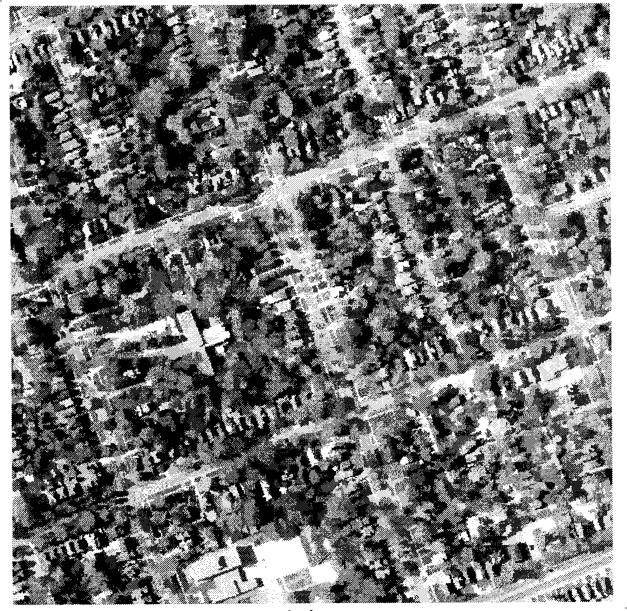 Remote sensing survey method and system for estimating tree coverage percentage of city