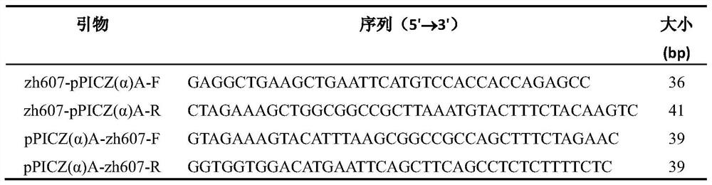 Zearalenone hydrolase mutant zhdm1 and its coding gene and application