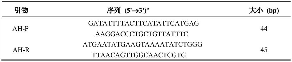 Zearalenone hydrolase mutant zhdm1 and its coding gene and application