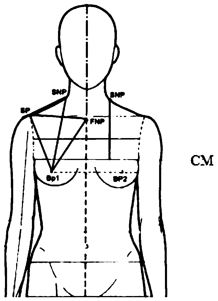 Vertical positioning device for facade and three-point-one-side human body balance measurement method for clothing