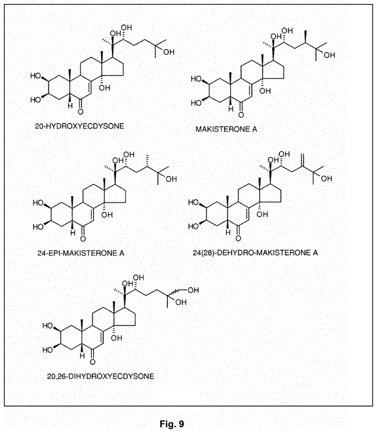 Maintenance of aging muscle tissue