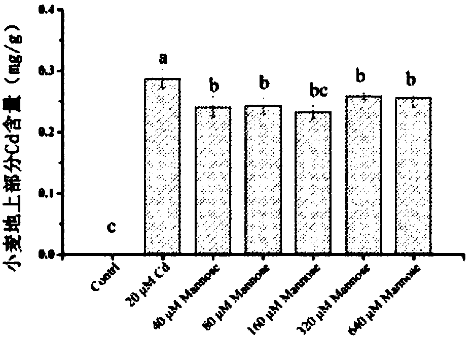 Leaf surface obstructing agent capable of inhibiting wheat grains from cadmium absorption and accumulation and using method thereof
