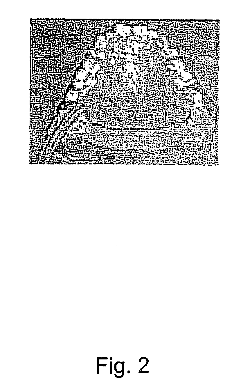 Tongue Based Control Method and System for Preforming the Method