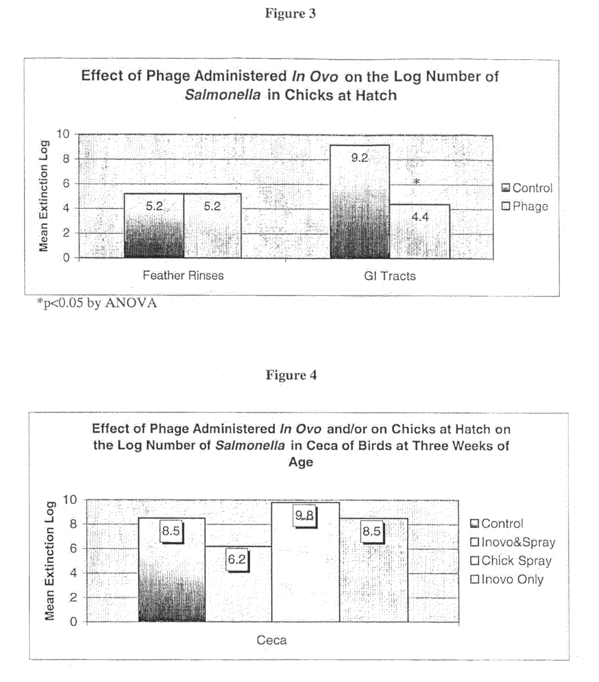 Method for vaccination of poultry by bacteriophage lysate bacterin