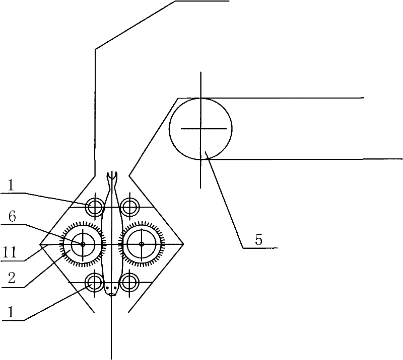 Descaling device