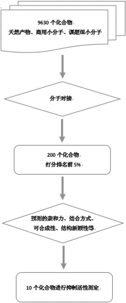 Application of benzyloxycarbonyl-L-glutamic acid in preparing BLyS (B lymphocyte stimulator) antagonist