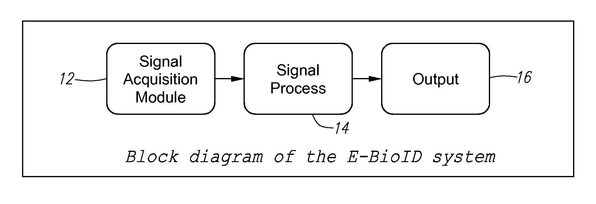 Method and apparatus for electro-biometric identity recognition