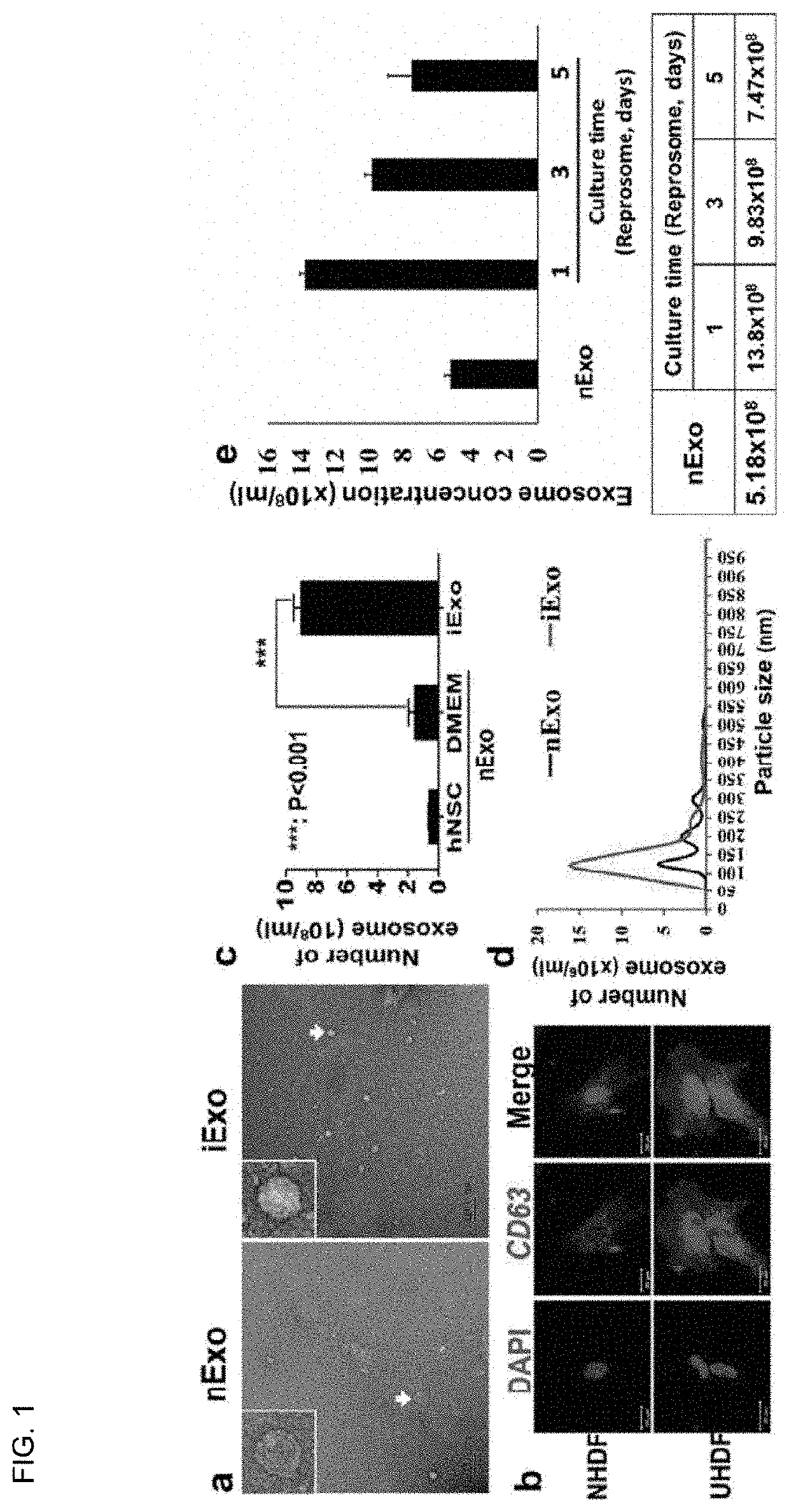 Reprosomes, as exosomes capable of inducing reprogramming of cells and preparation method thereof