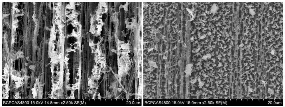 A kind of anti-atomic oxygen modified prepreg, composite material and preparation method thereof