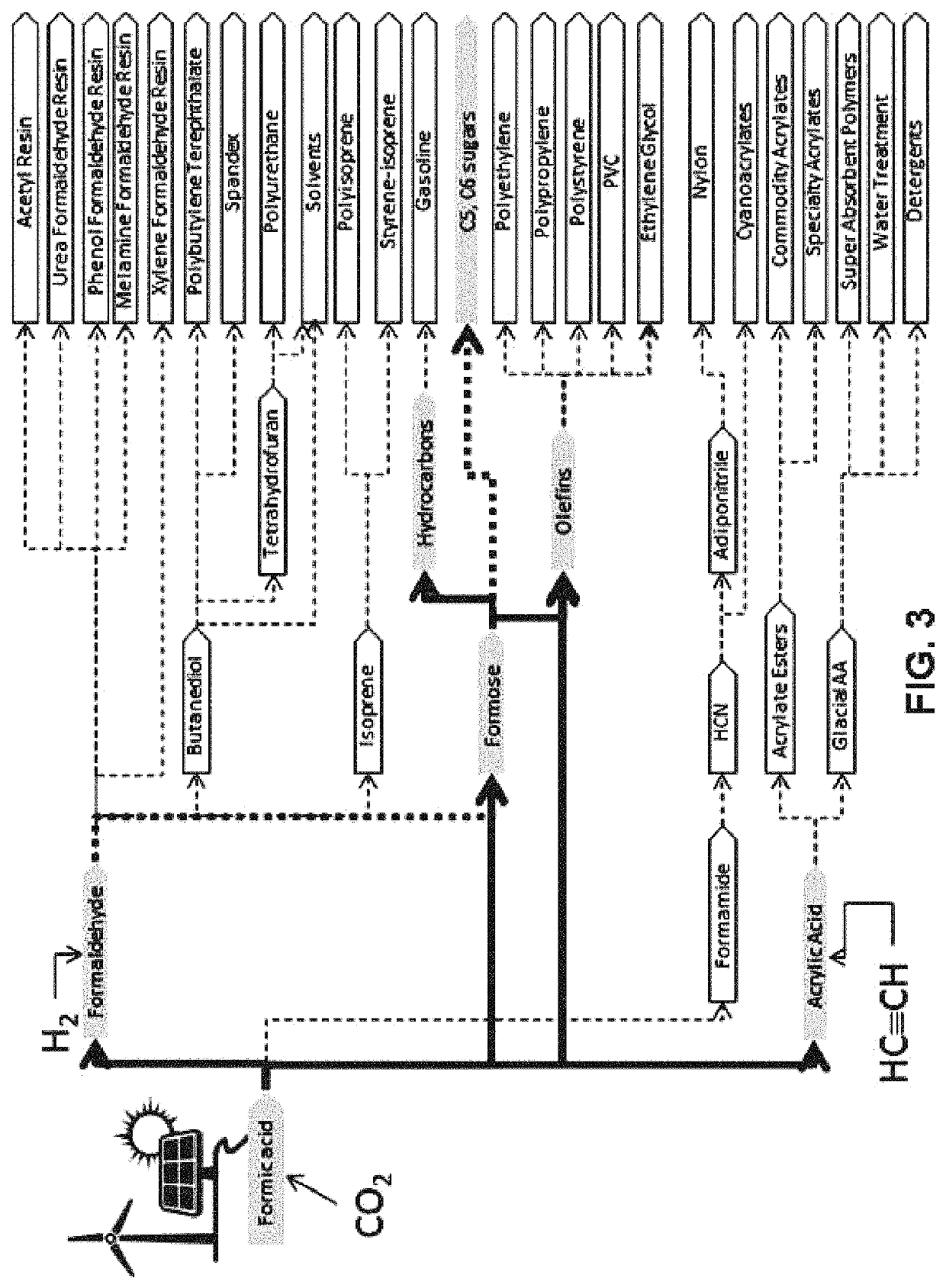 Process for the sustainable production of acrylic acid