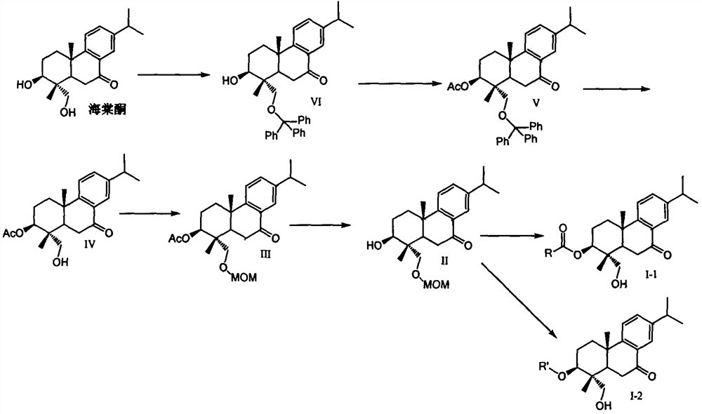 Tripterone 3-site modified derivative and application in preparation of antitumor drugs