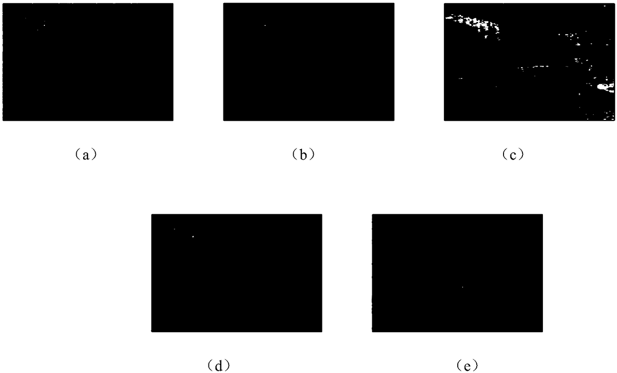 A hyperspectral remote sensing image restoration method based on non-convex low rank sparse constraint