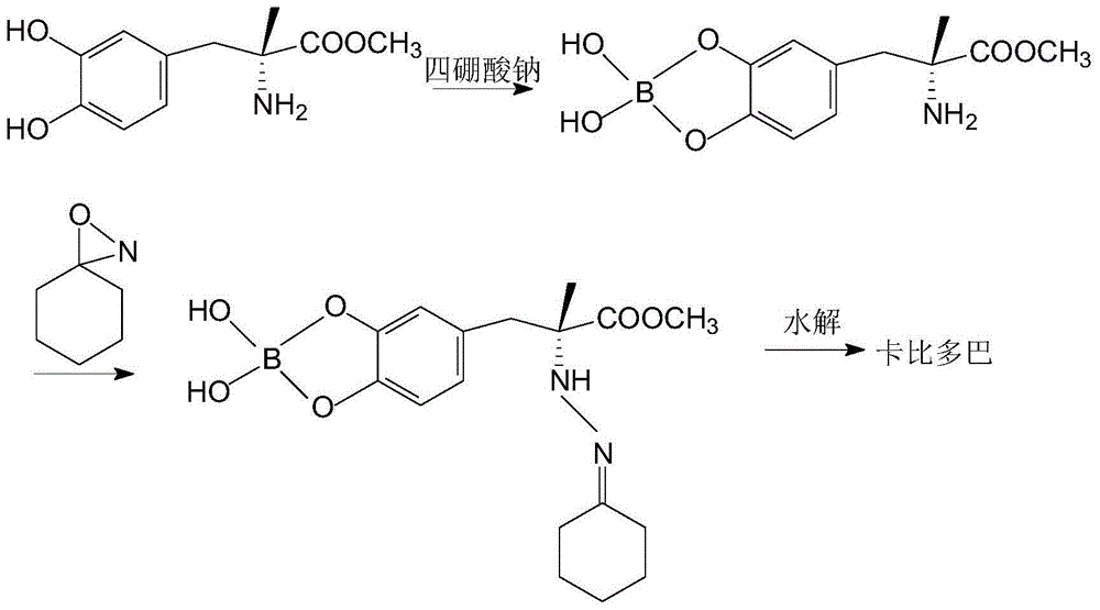Method for synthesizing Carbidopa